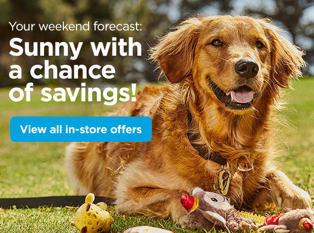 Your weekend forecast: Sunny with a chance of savings! View all in-store offers.