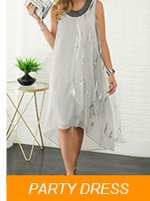 Party Dress
