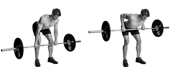 Bent-Over Row