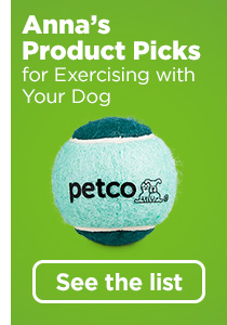 Anna's Product Picks for Exercising with Your Dog. See the list. 
