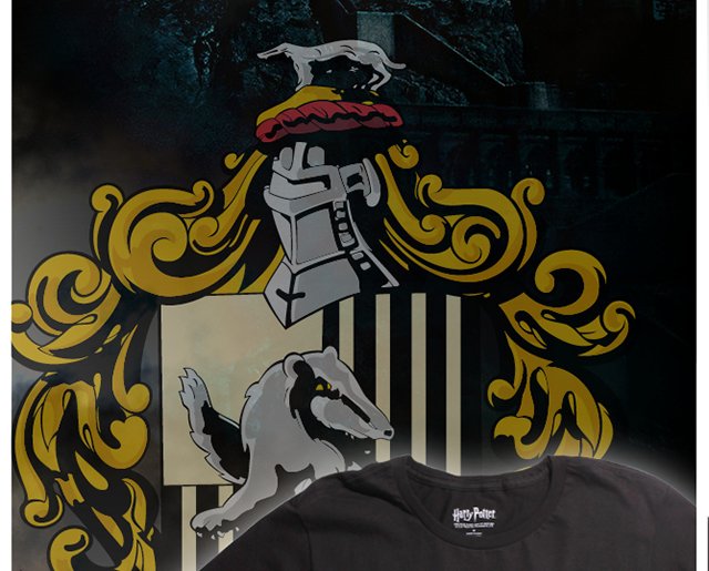 Harry Potter Hufflepuff Quidditch Tee