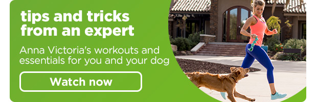 Tips and tricks from an expert. Anna Victoria's workouts and essentials for you and your dog. Watch now >