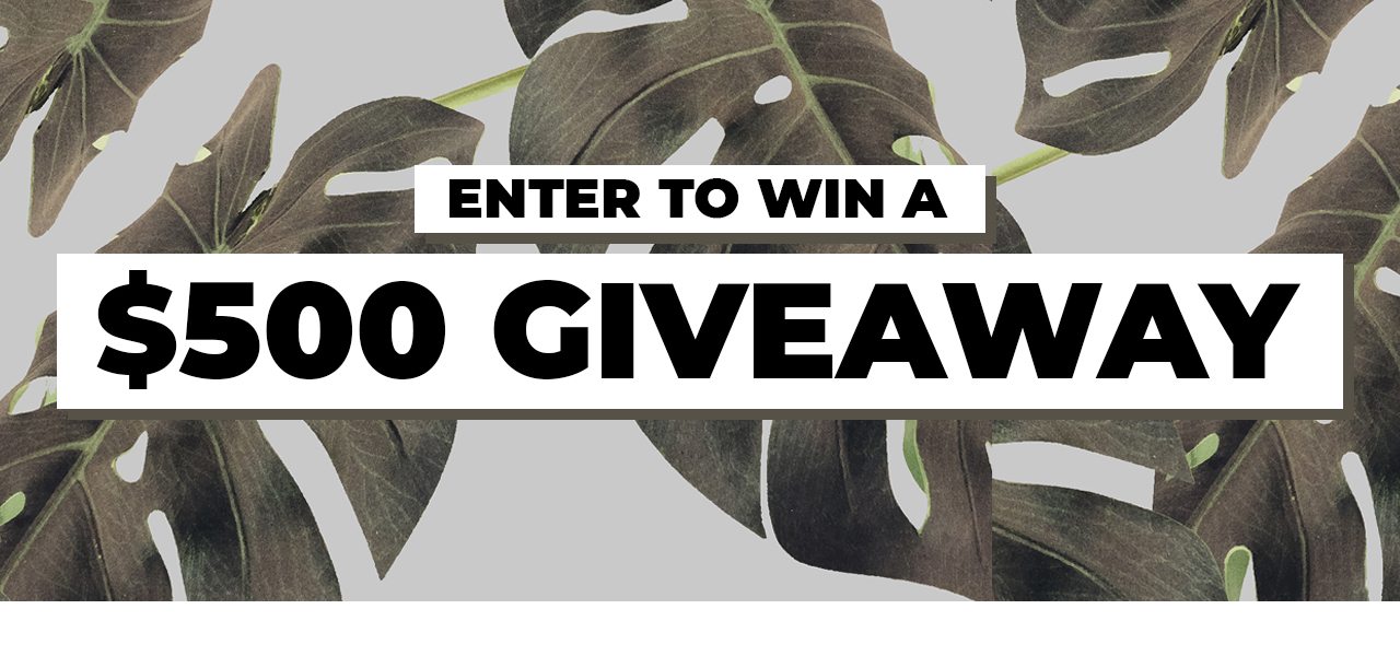 Enter to Win a $500 Giveaway!
