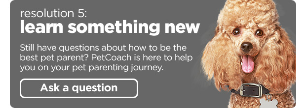 Resolution 5: Learn something new. Ask a question on PetCoach > 