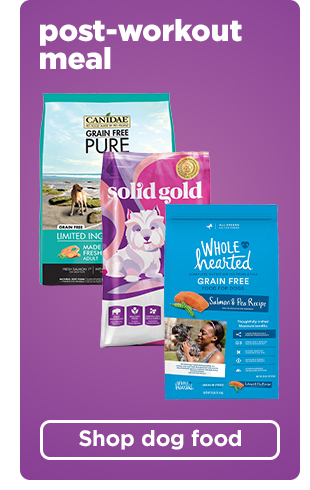 Shop dog food >