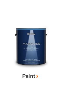 Paint