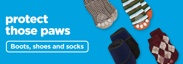Protect those paws. Shop boots, shoes and socks >