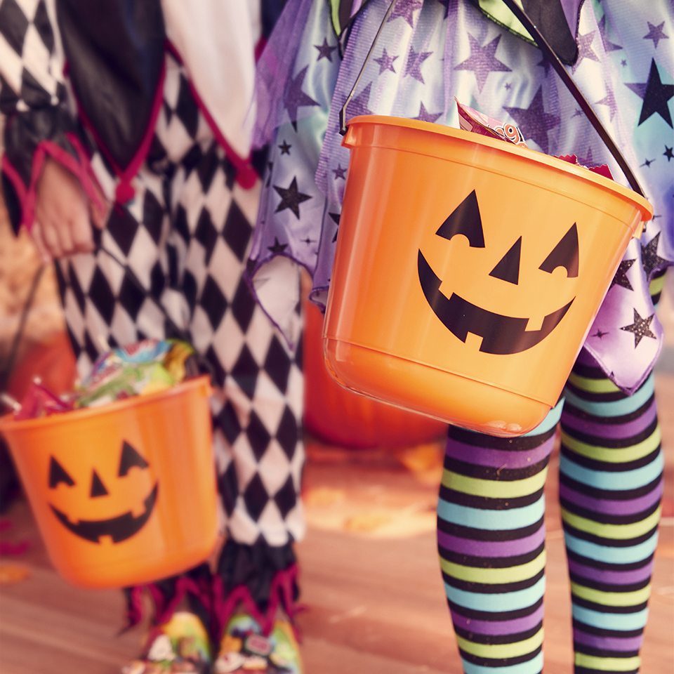 Treat Buckets | SHOP NOW