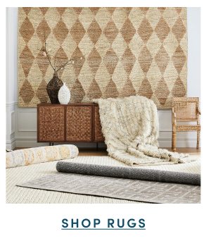 Shop Rugs