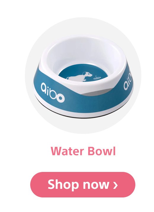 Water Bowl | Shop now