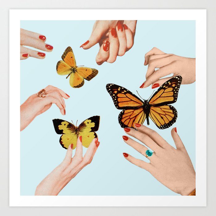 Social Butterflies
