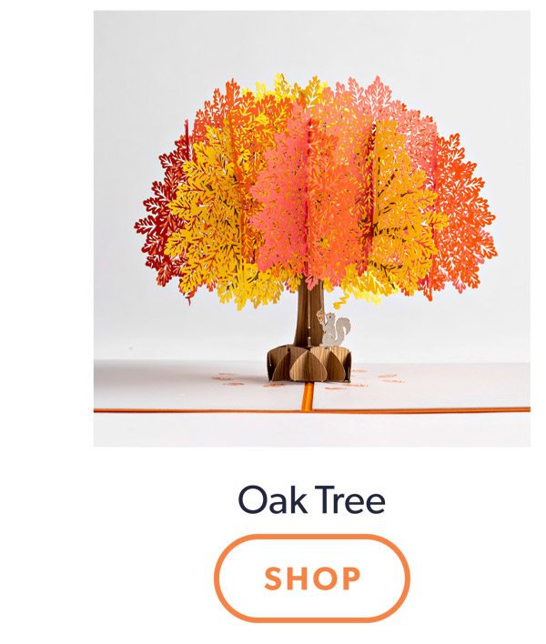 Oak Tree