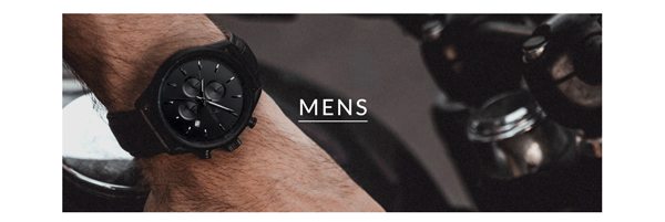 Vincero Men Watches