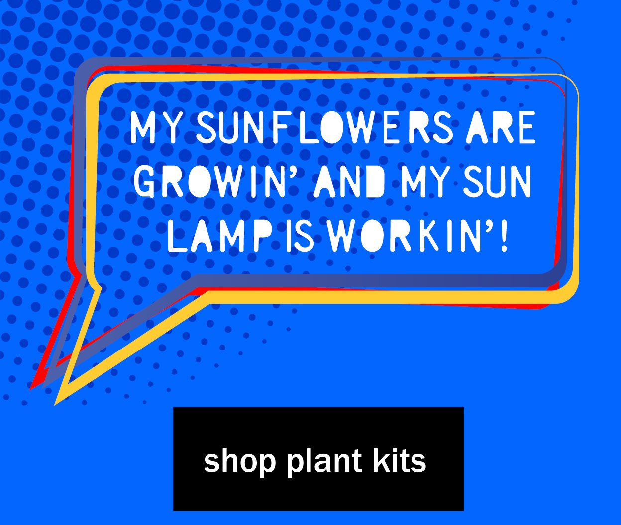 shop plant kits