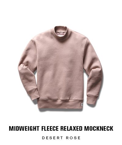 reigning champ desert rose hoodie