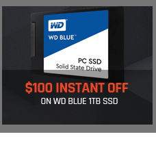 Extra $100 Instant Off on WD Blue 1TB SSD
