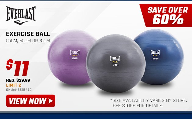 EVERLAST Exercise Ball