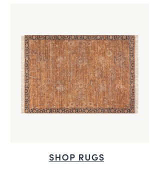 Shop Rugs