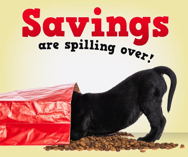 Savings Are Spilling Over!