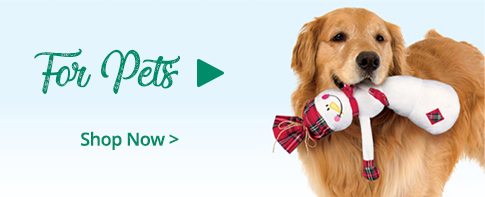 Gifts and Toys for Pets!