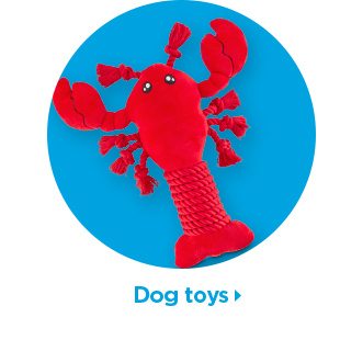 Dog toys.