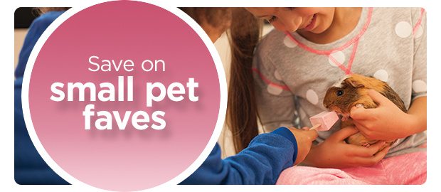 Save on small pet faves.