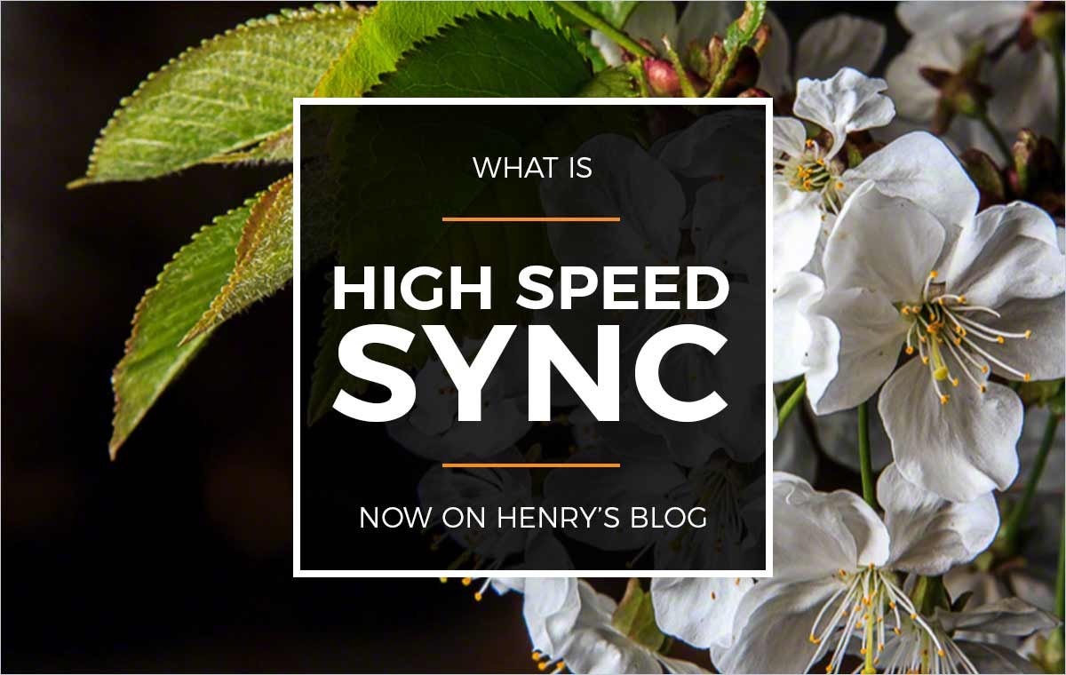 Henry's Blog