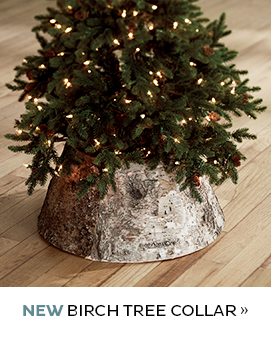 NEW Birch Tree Collar