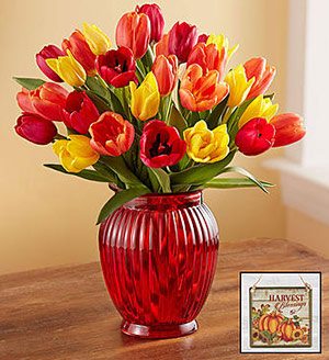 Assorted Fall Tulips SHOP NOW 