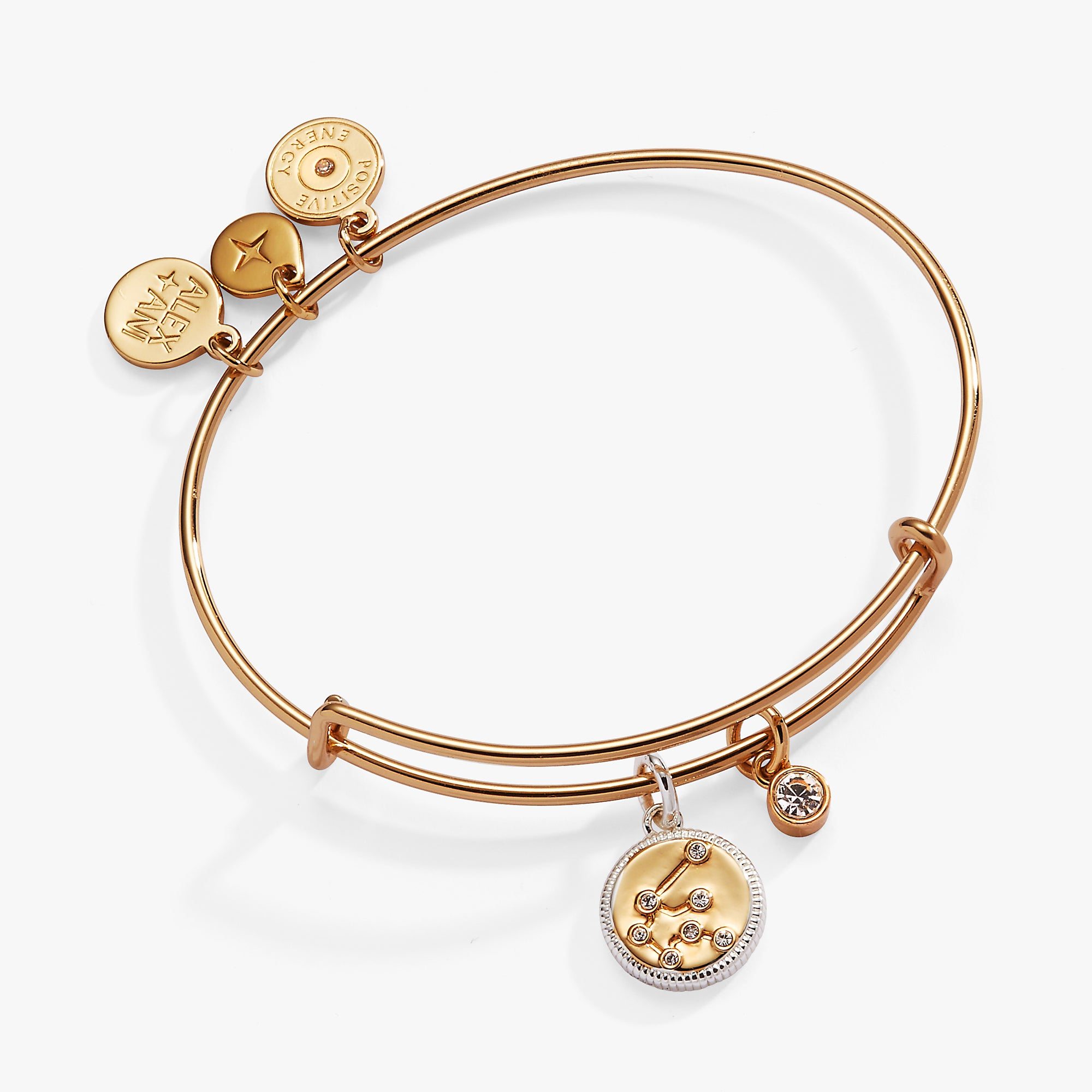 Image of Aquarius Zodiac Charm Bangle