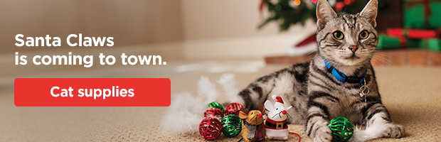 Santa Claws is coming to town. Cat supplies. 