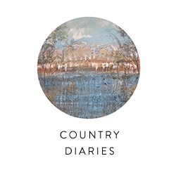 Shop Country Diaries