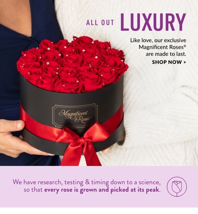 All Out Luxury