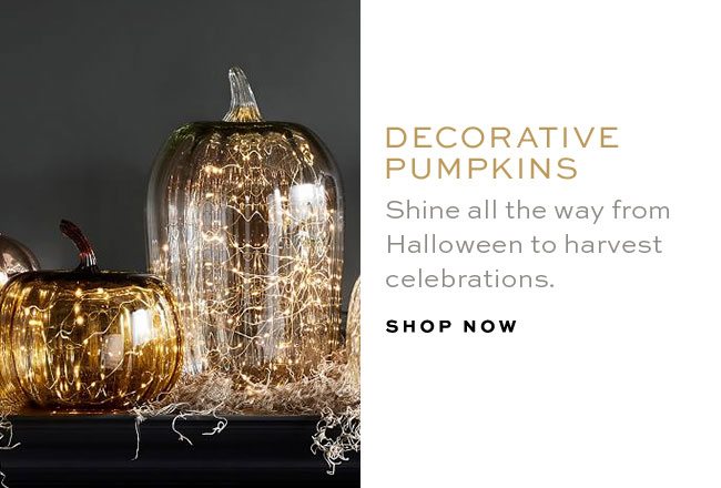 DECORATIVE PUMPKINS