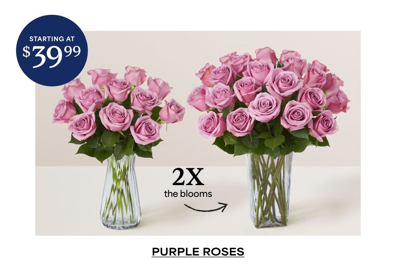 2x the Blooms | Purple Roses