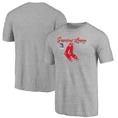 Fanatics Branded Boston Red Sox Gray 2020 Spring Training Mentor Tri-Blend T-Shirt
