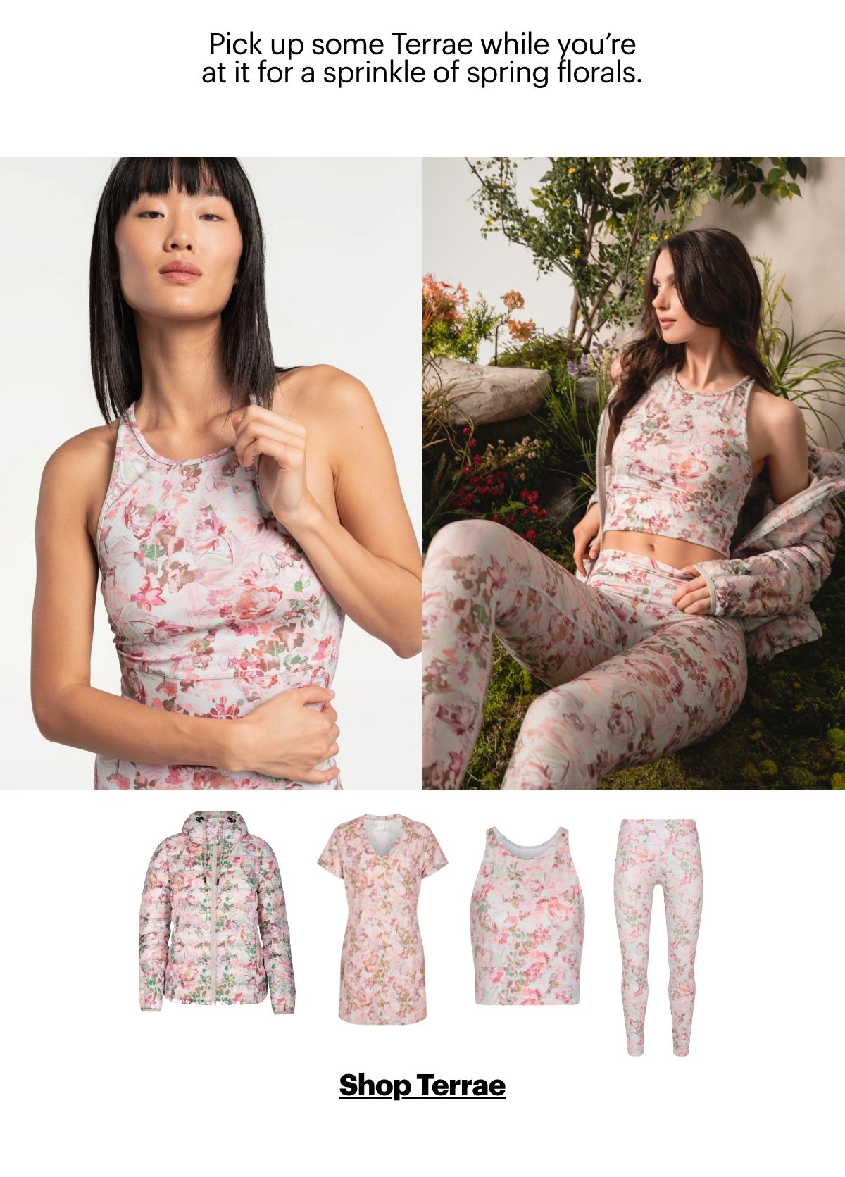 Shop Terrae
