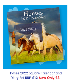 Horses 2022 Square Calendar and Diary Set