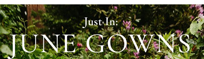 Just In: June Gowns