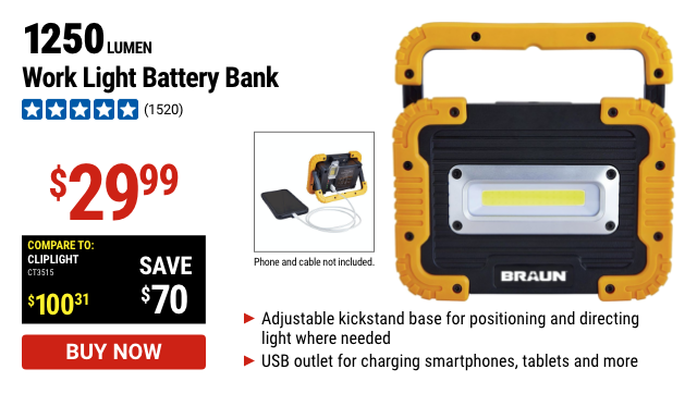 1250 Lumen Work Light Battery Bank