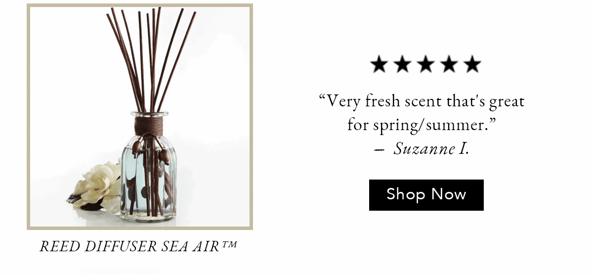 Pier 1 Reed Diffuser Sea Air™ 10oz