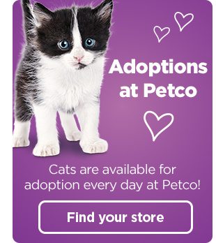 Adoptions at Petco. Cats are available for adoption every day at Petco! Find your store.