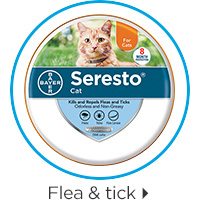 Flea & tick.