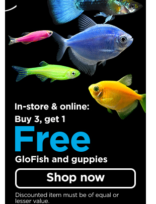 In-store and online: Buy 3, get 1 free GloFish and guppies. Shop now >
