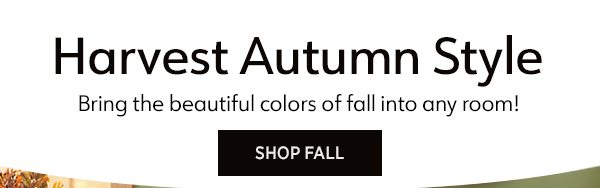 Shop Fall 