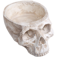 Bone Skull Planter