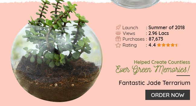 fantastic-jade-terrarium