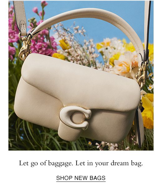 Let go of baggage. Let in your dream bag. SHOP NEW BAGS