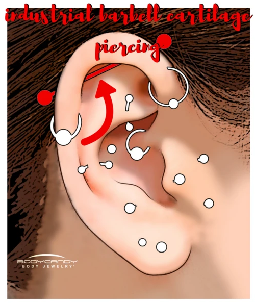 Encyclopedia of Body Piercings: Industrial Barbell Cartilage Piercing