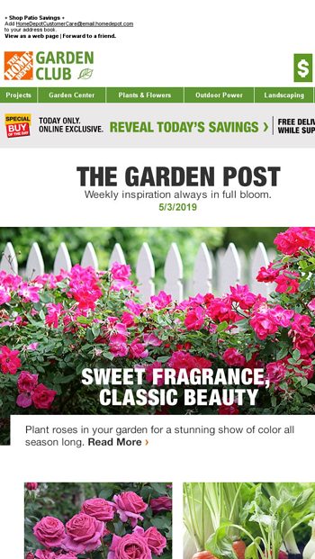 We Just Posted Garden Center Savings Grow Classic Blooms Home